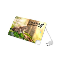 Main photo of Универсальное зарядное устройство Credit Card1 Power Bank